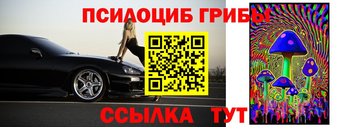Галлюциногенные грибы мухоморы Усть-Кут
