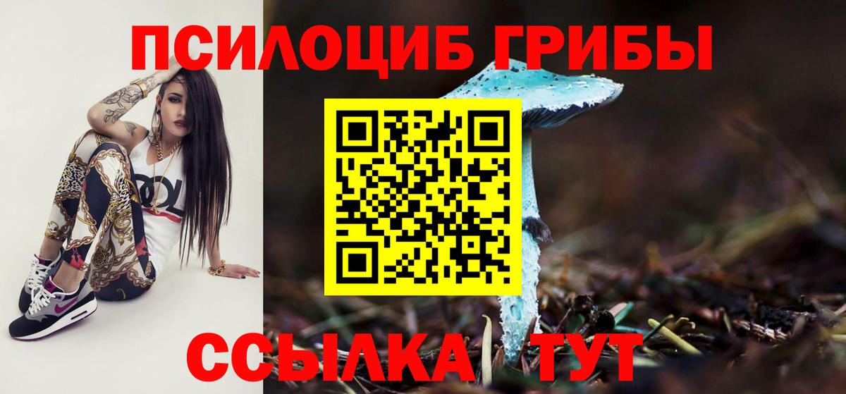 Усть-Кут  Псилоцибиновые грибы мицелий  Псилоцибиновые грибы MAGIC MUSHROOMS  Вход с VPN 